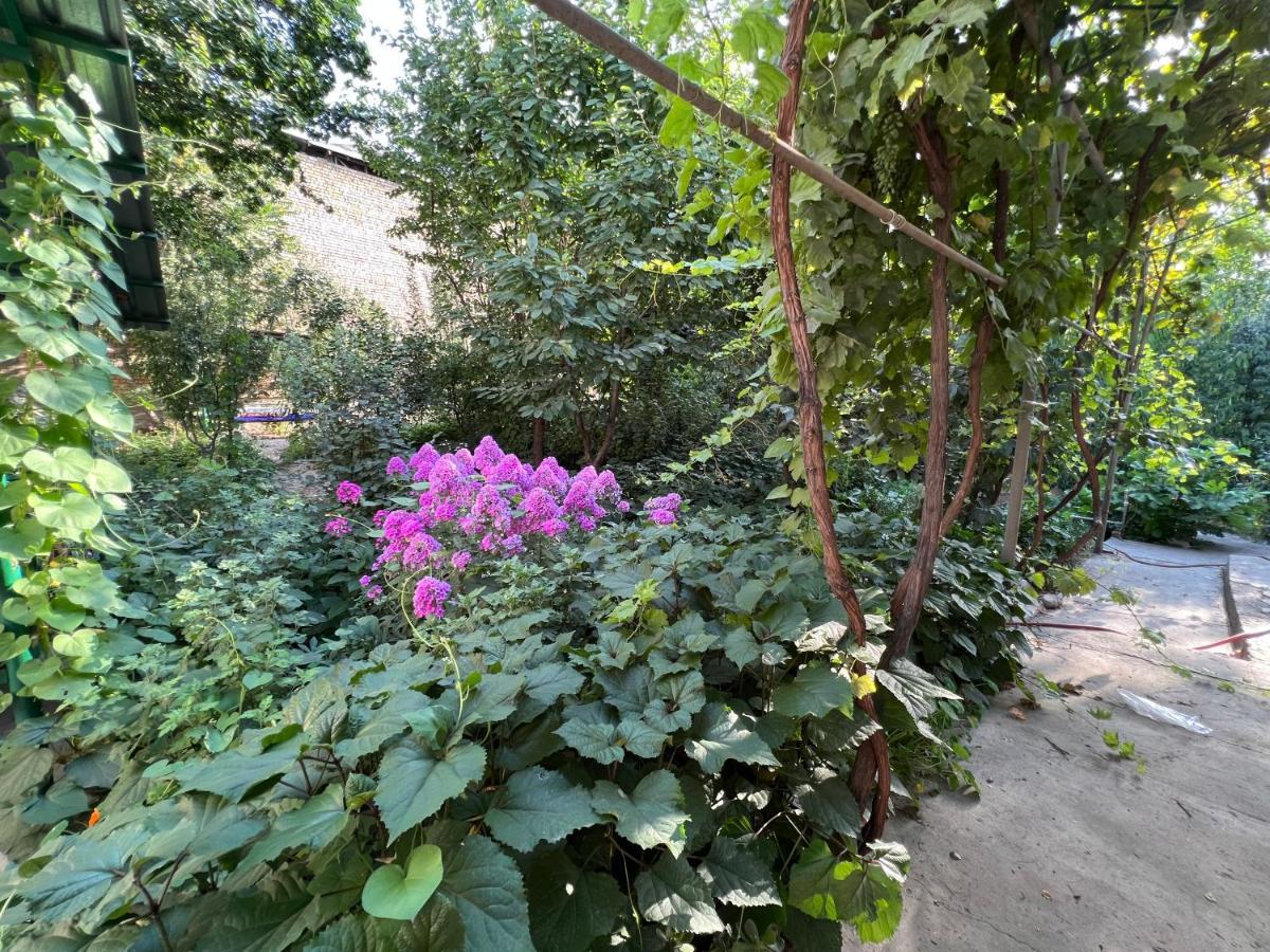 Lovely Home Osz Zewnętrze zdjęcie